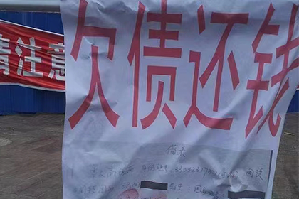 逾期借款法院强制执行的应对手段